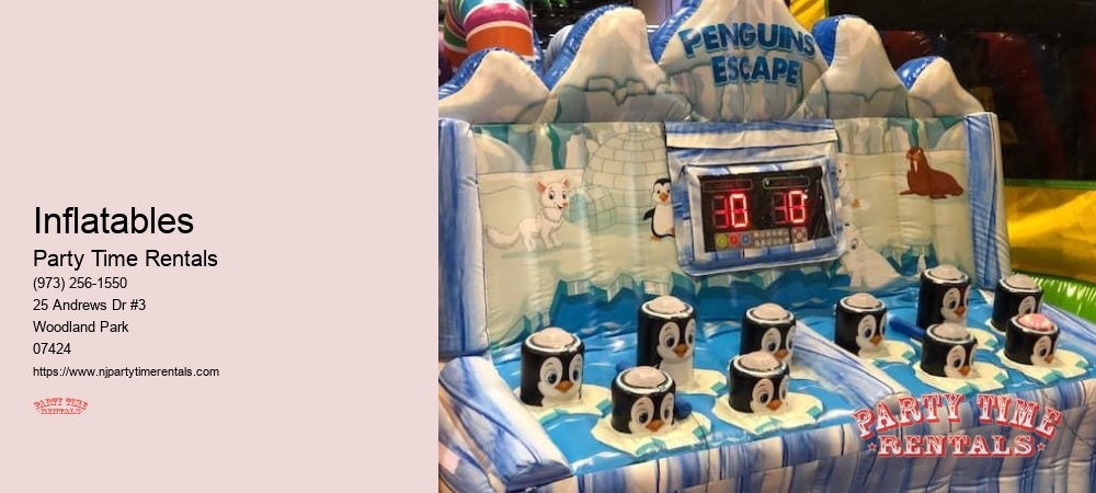 Inflatable Party House Rental